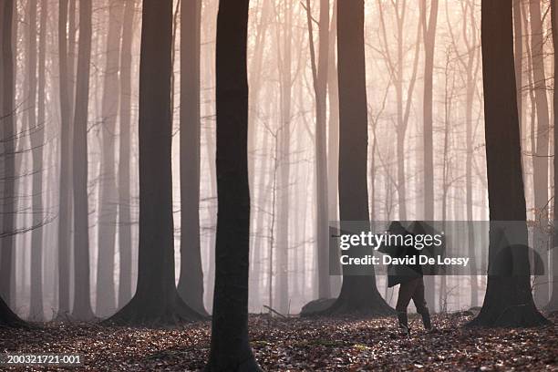 man aiming shotgun in forest - hunting stock pictures, royalty-free photos & images