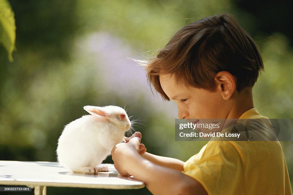 Boy (6-9) playing with rabbit