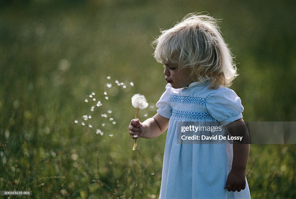 Girl (2-3) blowing dandelion, close-up