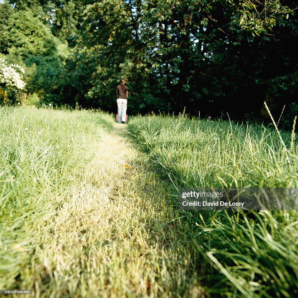 Woman standing in domestic garden, rear view