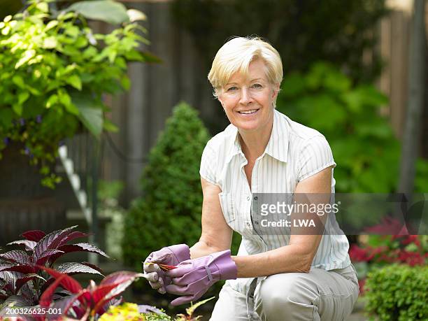 mature woman clipping leaves in garden, portrait - short sleeved 個照片及圖片檔