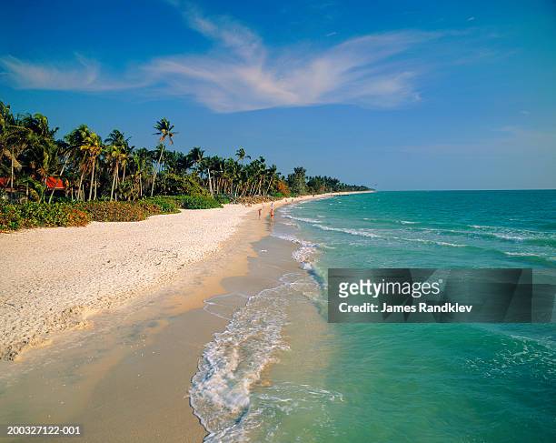 usa, florida, naples, naples beach along gulf coast - naples florida beach stockfoto's en -beelden