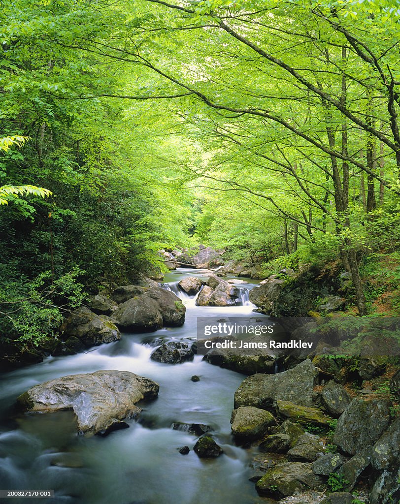 USA, Georgia, Chattahoochee-Oconee National Forest, Tallulah River