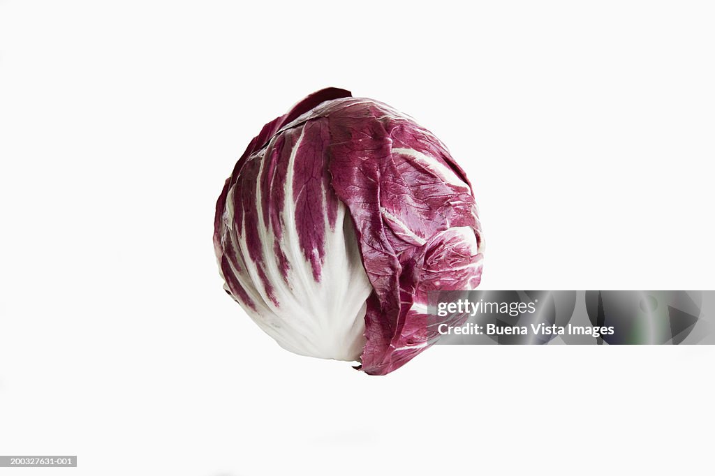 Radicchio