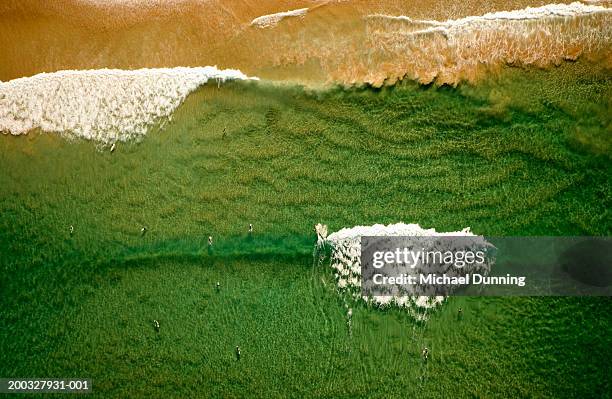 surfers in sea, aerial view - manly beach stock pictures, royalty-free photos & images