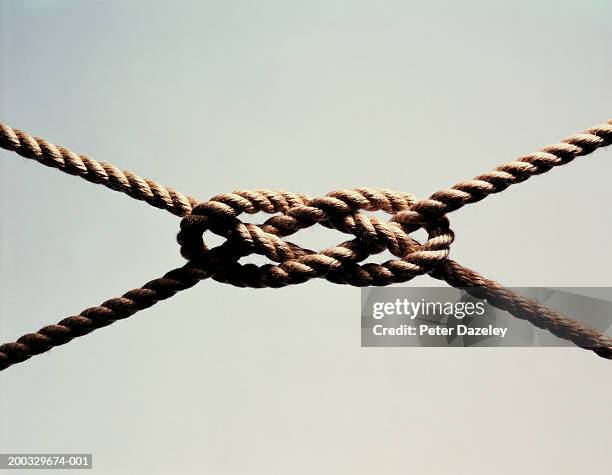 knot in rope, close up - durabilidad fotografías e imágenes de stock