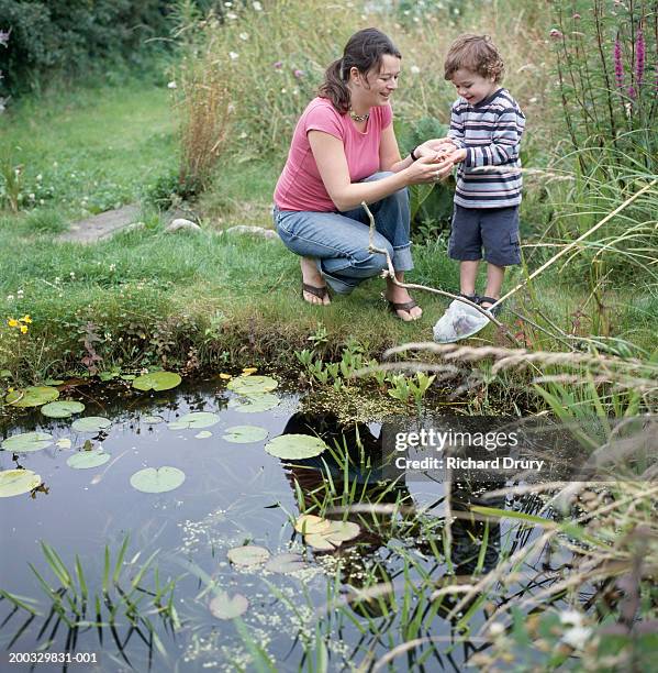 mother and son (2-4) looking at frog in boy's hand - woman frog hand stockfoto's en -beelden