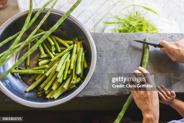 filipino food, tarlac city, central luzon, philippines - moringa oleifera stockfoto's en -beelden