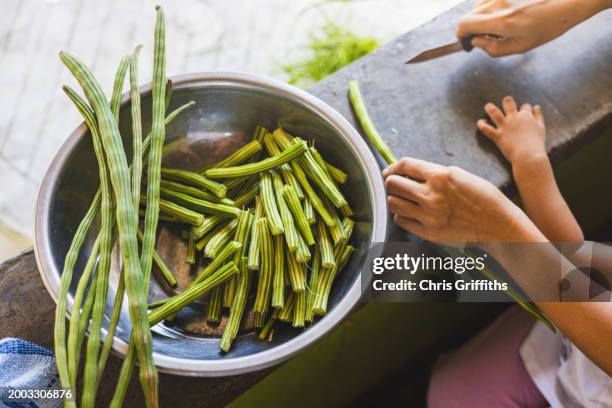 filipino food, tarlac city, central luzon, philippines - moringa oleifera stock pictures, royalty-free photos & images