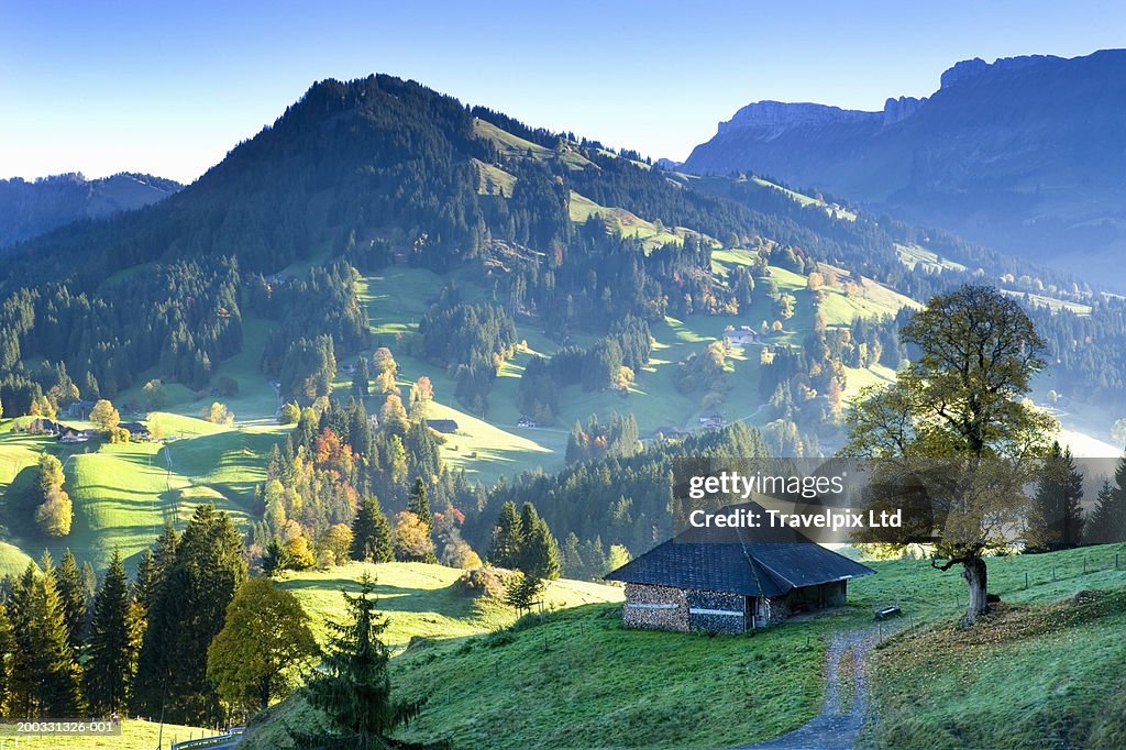 Switzerland, Bernese Oberland, house on hillside near Thun