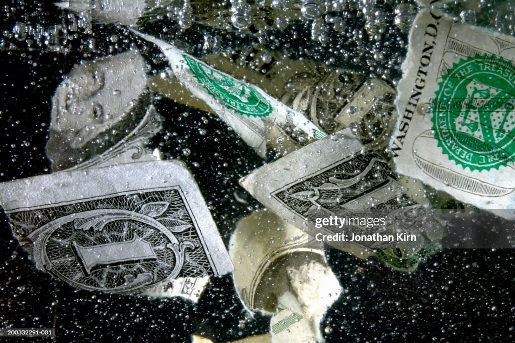 Us Ripped Note Submerged Torn Us 1 Note Closeup High-Res Stock Photo - Getty Images