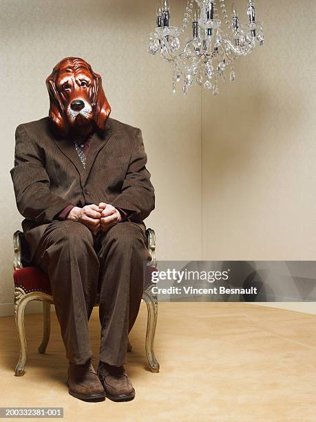 businessman wearing dog mask sitting under chandelier - dog mask stock pictures, royalty-free photos & images