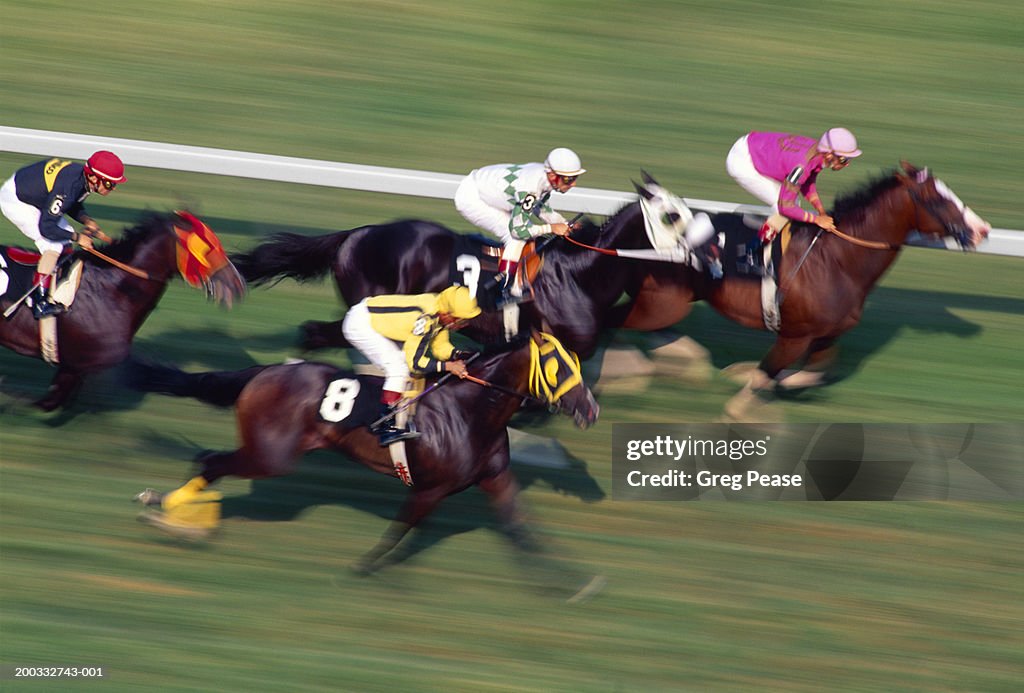 Thoroughbred horse race on turf (Digital Enhancement, blurred motion)