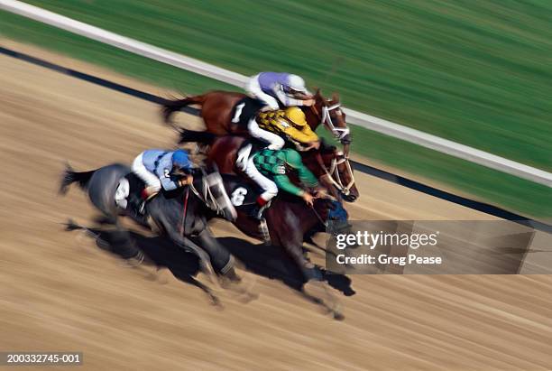 thoroughbred horse race on track (digital enhancement, blurred motion) - horse racing stock-fotos und bilder