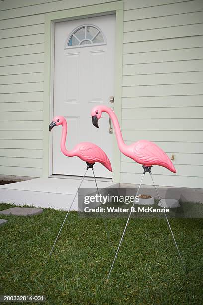 pink plastic flamingoes in front yard - plastic flamingo stock pictures, royalty-free photos & images