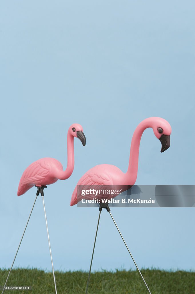 Pink plastic flamingoes on grass