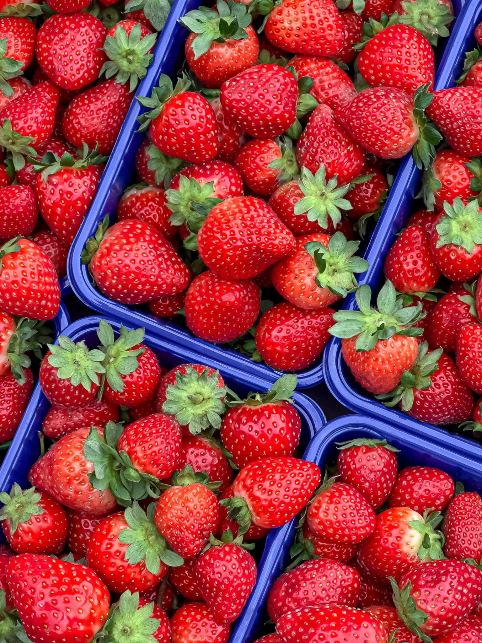 local food festival