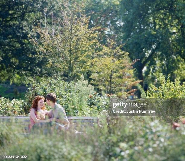 couple on park bench, view through foliage - ginger bush stock pictures, royalty-free photos & images