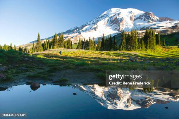 usa, washington, mt. rainier national park, hiker on path - mount rainier nationalpark stock-fotos und bilder