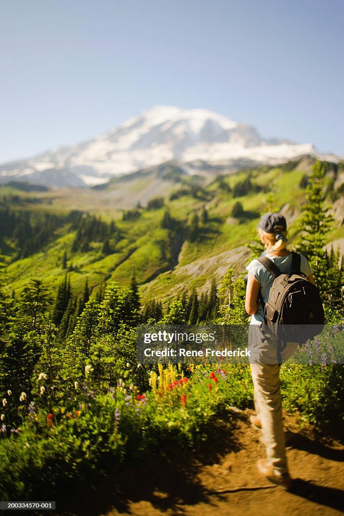 USA, Washington, Mt. Rainier National Park, female hiker on path