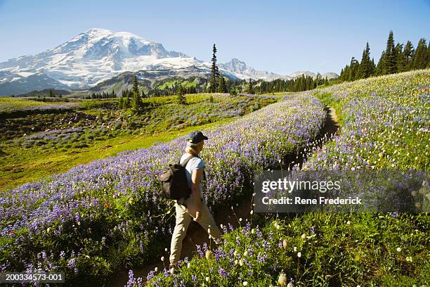 usa, washington, mt. rainier national park, female hiker on path - mt rainier - fotografias e filmes do acervo