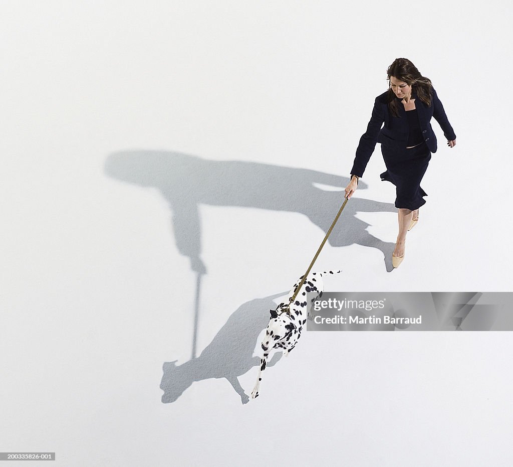 Woman walking dalmatian on lead, elevated view