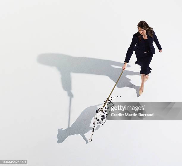 woman walking dalmatian on lead, elevated view - dalmatian fotografías e imágenes de stock