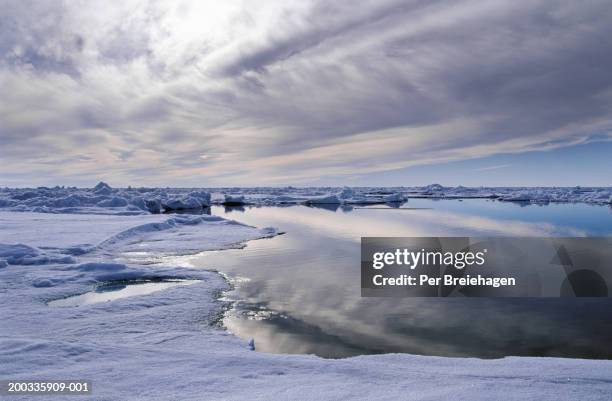 lead (open water) at north pole, arctic ocean, summer - oceano-ártico imagens e fotografias de stock
