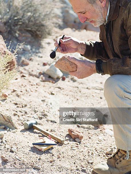 male archaeologist dusting rock - archeoloog stockfoto's en -beelden