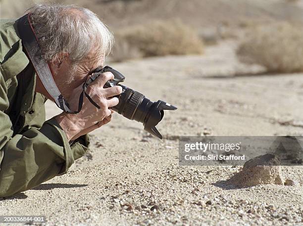 Mature Man Photographing Ant Hill, Foto de stock