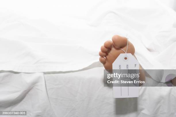 Help Net Toe Tag Toe Tag Photos and Premium High Res Pictures - Getty Images