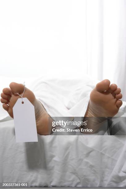 Toe Tag Sample 58 Toe Tag Stock Photos, High-Res Pictures, and Images - Getty Images