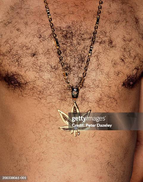 hairy chested man wearing leaf shaped medallion, mid section, close-up - goldkette stock-fotos und bilder