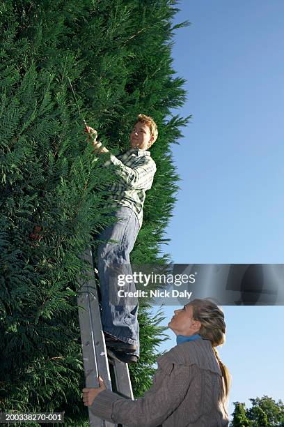 young woman holding ladder, man pruning hedge, low angle - short hair cut stock pictures, royalty-free photos & images