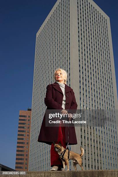 senior woman holding dog on lead, smiling, low angle view - office building exterior small stock pictures, royalty-free photos & images