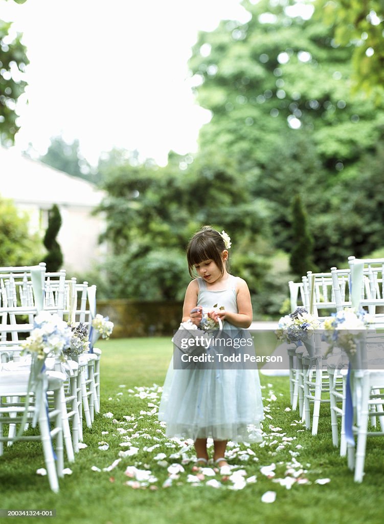 Flower girl (3-5) scattering flower petals down aisle