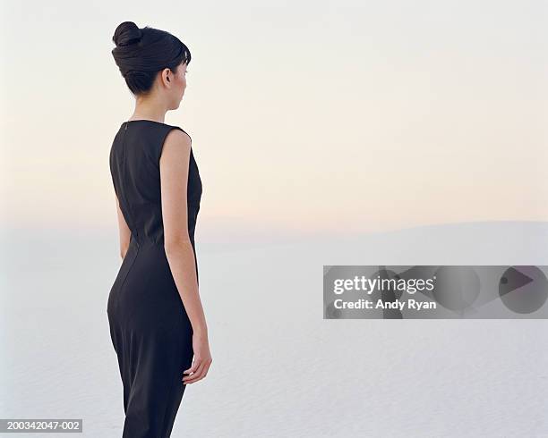 woman standing in desert, rear view - women in see through dresses fotografías e imágenes de stock