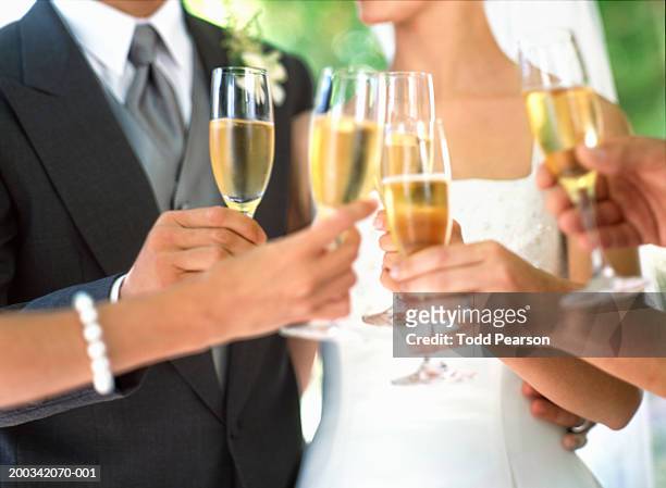 bride, groom and wedding guests toasting with champagne, mid section - banquete de boda fotografías e imágenes de stock