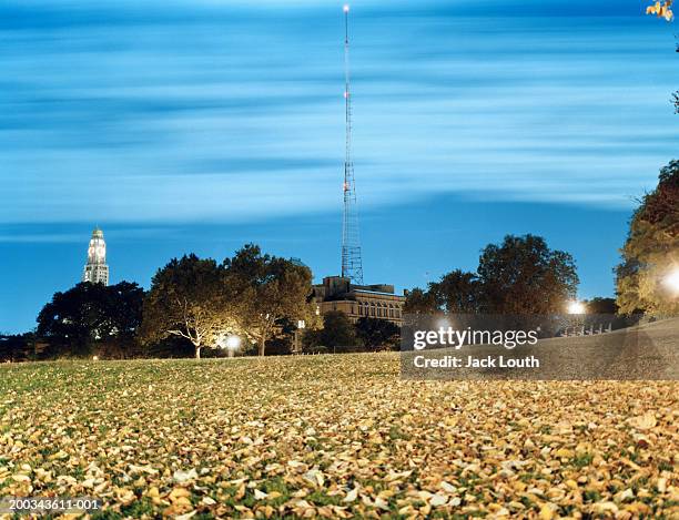 usa, new york, brooklyn, fort greene park, dusk (long exposure) - fort greene photos et images de collection