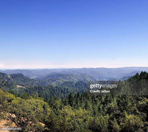 Norcal Forests Northern California Forest Photos and Premium High Res Pictures - Getty ...