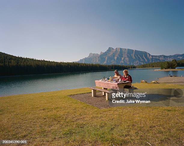 senior couple having picnic near lake, portrait - picnic table stockfoto's en -beelden