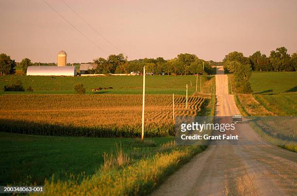 usa, northern minnesota, truck on gravel road, rear view - rural scene stockfoto's en -beelden