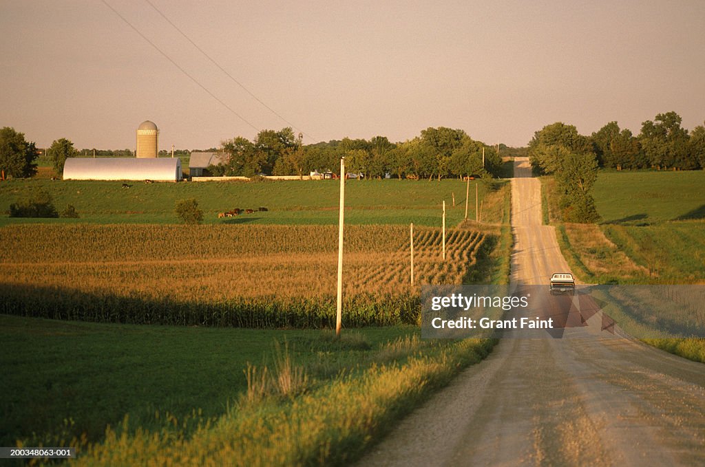 USA, northern Minnesota, truck on gravel road, rear view