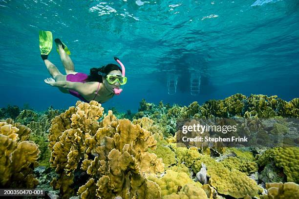 woman swimming above coral reef, underwater view - snorkel reef stockfoto's en -beelden