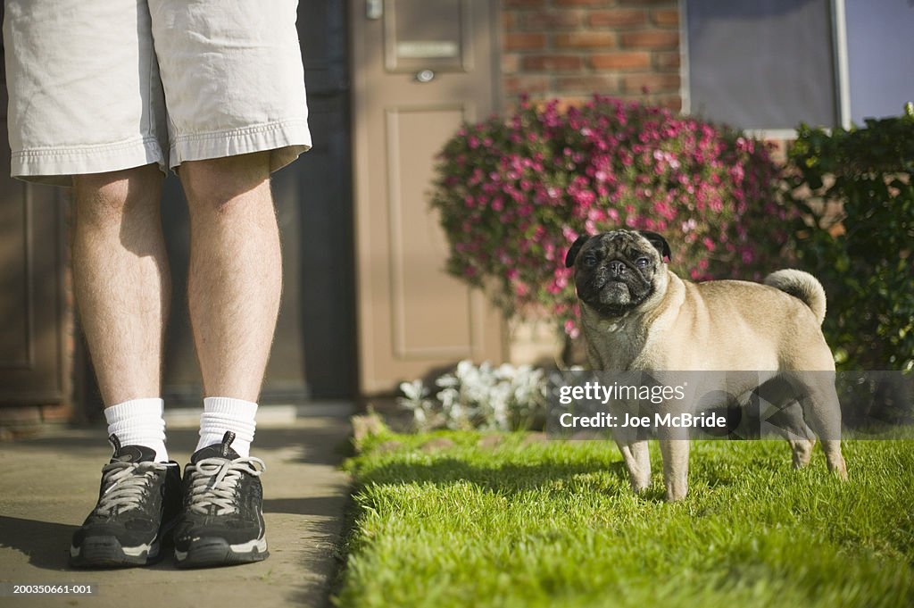 Young man and pug dog standing in front of house, low section