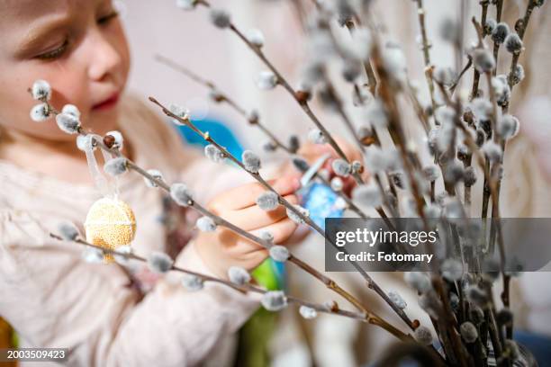 cute little girl decorating easter eggs with willow branches. - saule blanc photos et images de collection