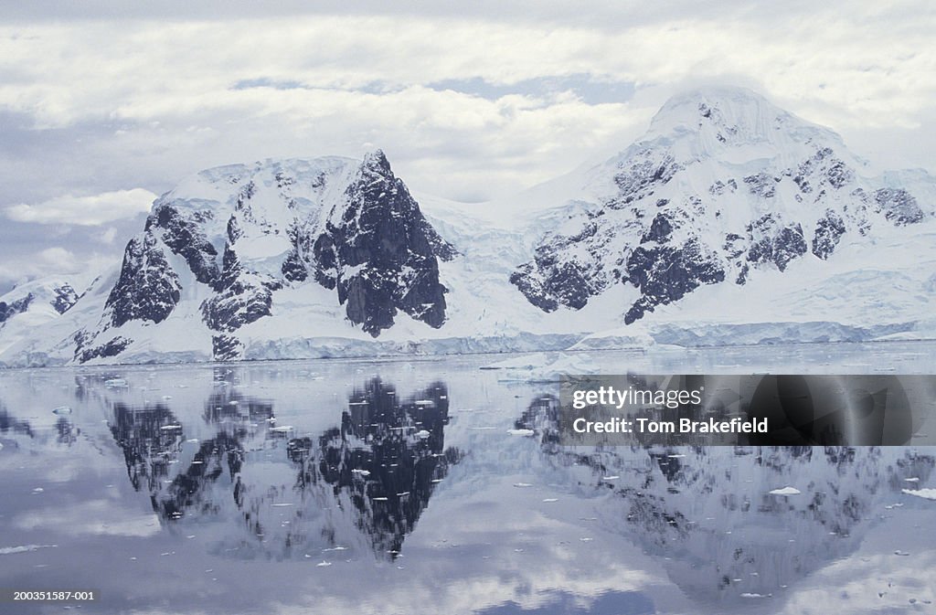 Paradise Bay, Antarctica