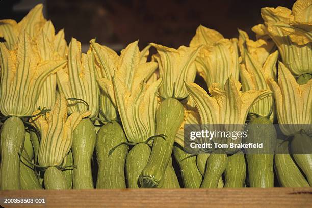 squash at market, day-time, nice, french riviera, cote d' azur, france, (close-up) - nice cote d'azur market ストックフォトと画像