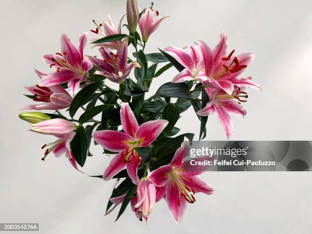 close-up of lilium flower bouquet - lelie stockfoto's en -beelden