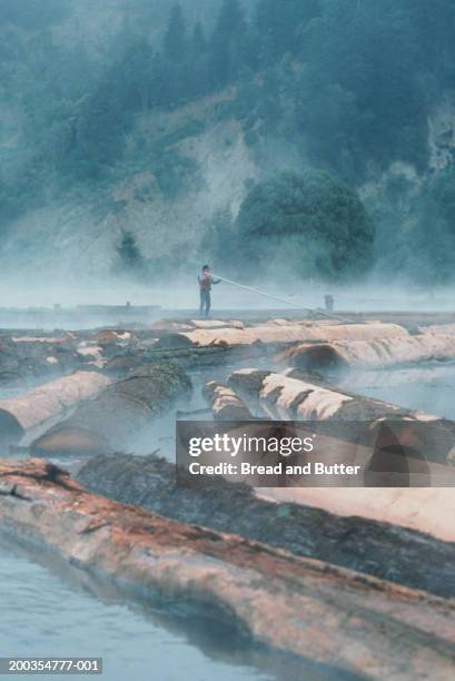 Log Floating In Water Fotografías e imágenes de stock - Getty Images